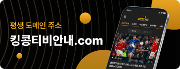 킹콩티비평생도메인주소